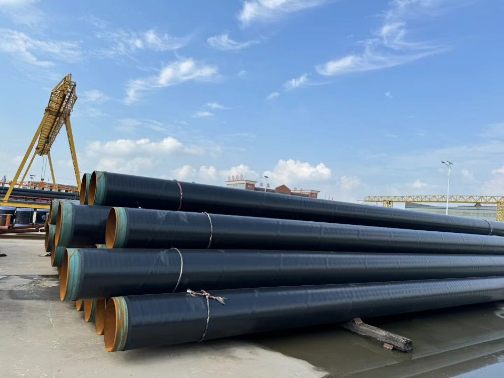 3PE����䓹܌��w�S��